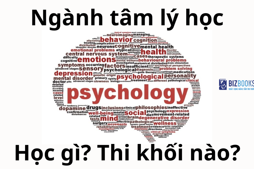 Tổng quan ngành tâm lý học: Học gì? Thi khối nào?