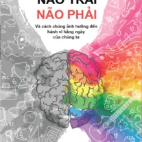 Não Trái Não Phải: Và cách chúng ảnh hưởng đến hành vi hằng ngày của chúng ta